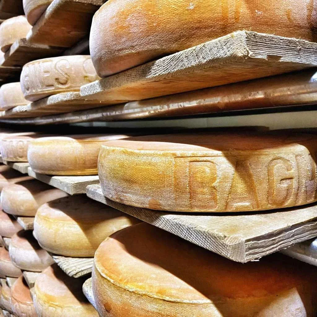 Fromage à raclette Bagnes 98