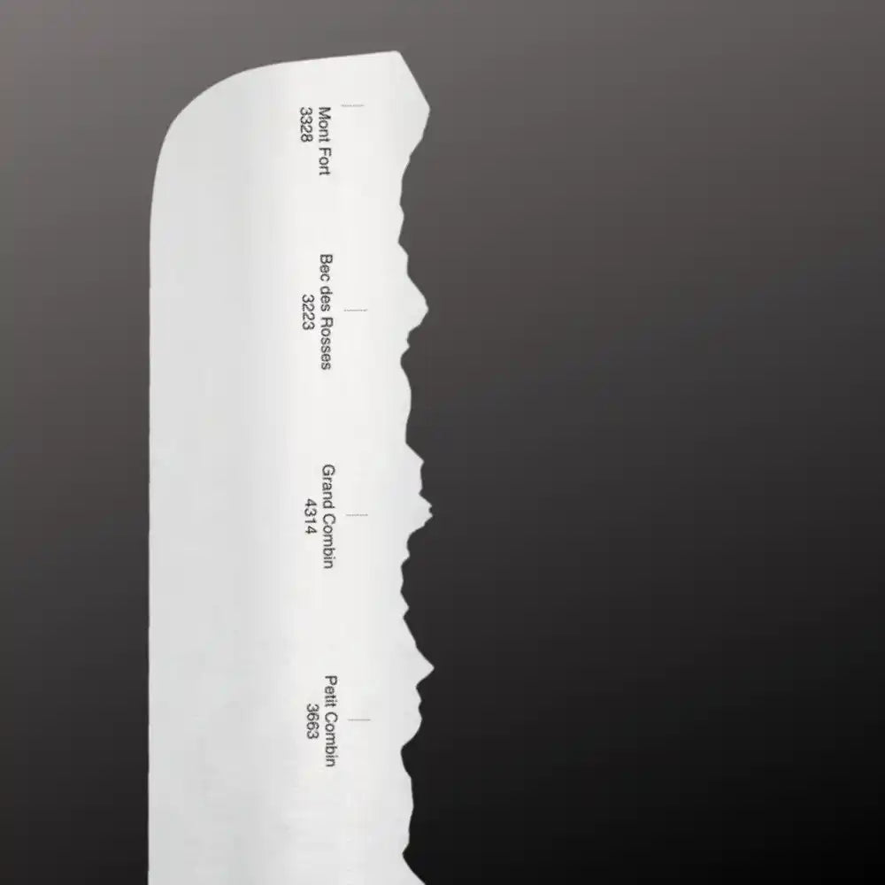 Couteau raclette Panoramaknife