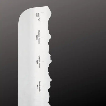 Couteau raclette Panoramaknife