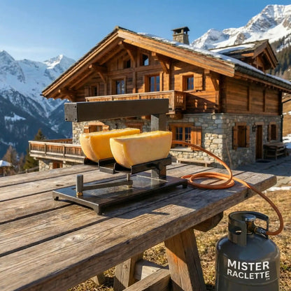 Four à raclette TTM Brio Plus gas